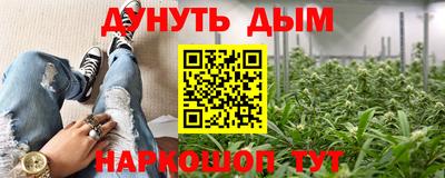 2c-b Камышлов