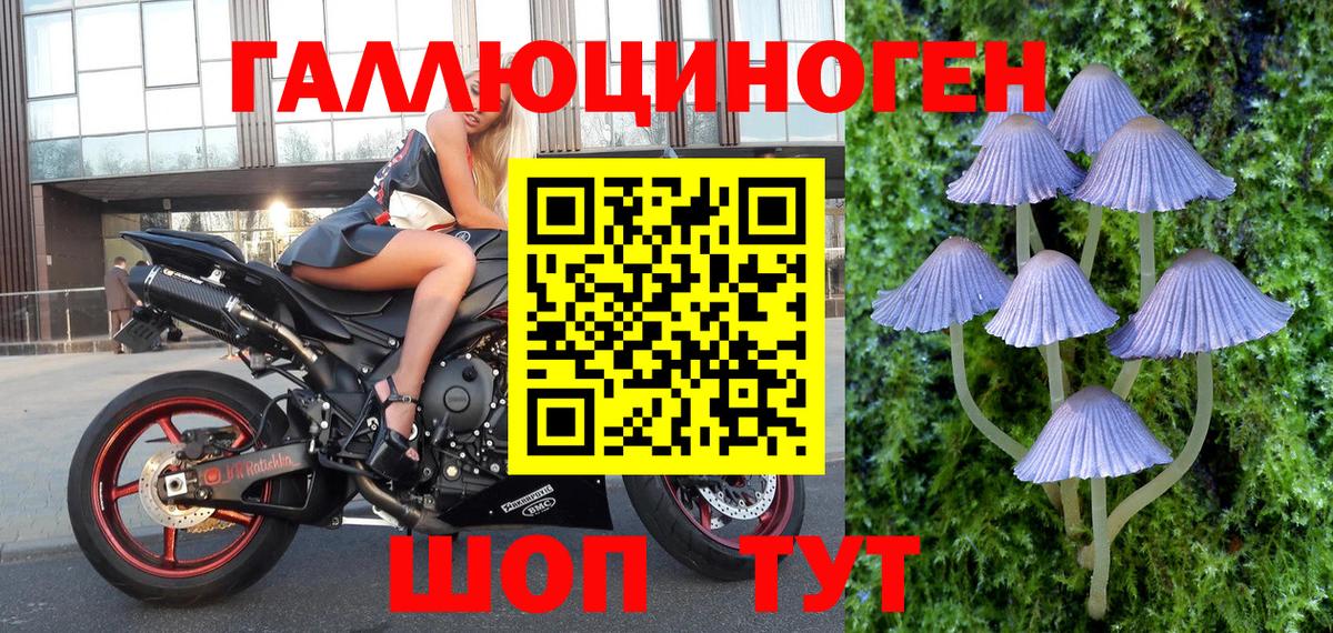 Псилоцибиновые грибы мухоморы  Вход с VPN  наркота  Краснознаменск 