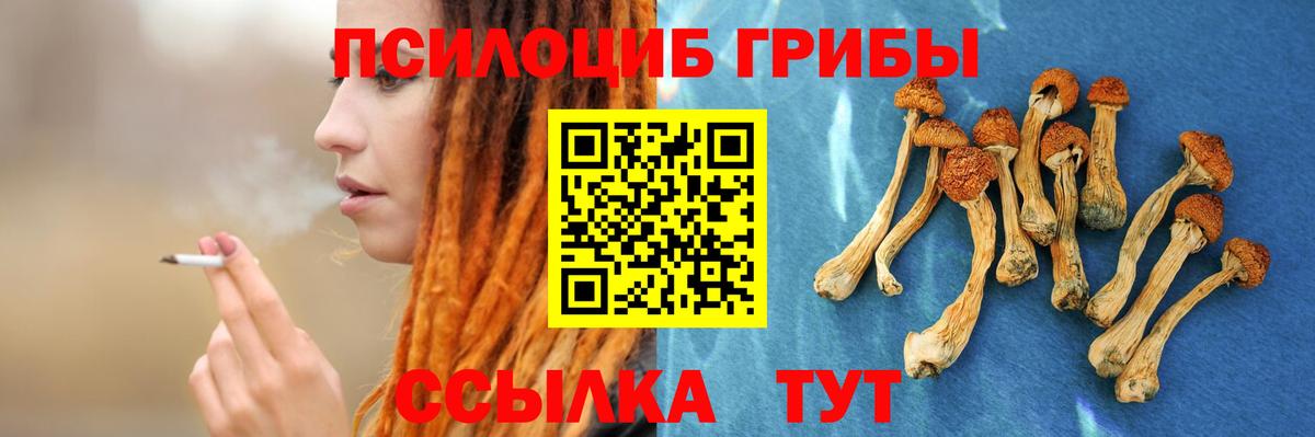 Псилоцибиновые грибы GOLDEN TEACHER Краснознаменск